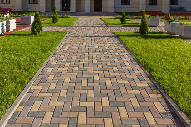 Best Driveway Repair Near Me  in Muniz, TX
